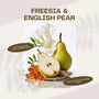 Freesia and English Pear fragrance tablet scent notes with pear, freesia, rose, patchouli, and amber
