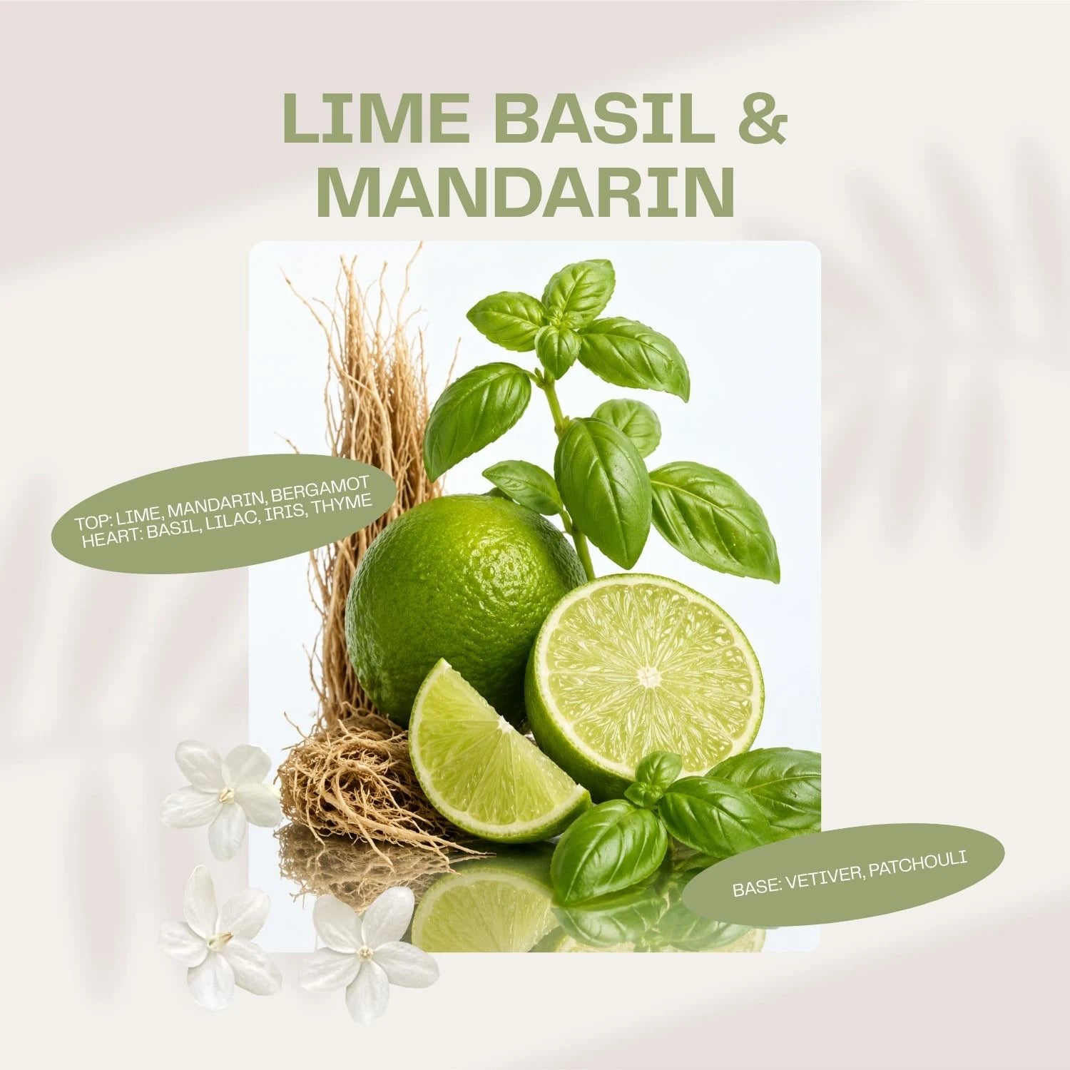 Lime Basil and Mandarin fragrance tablet scent notes for car air freshener