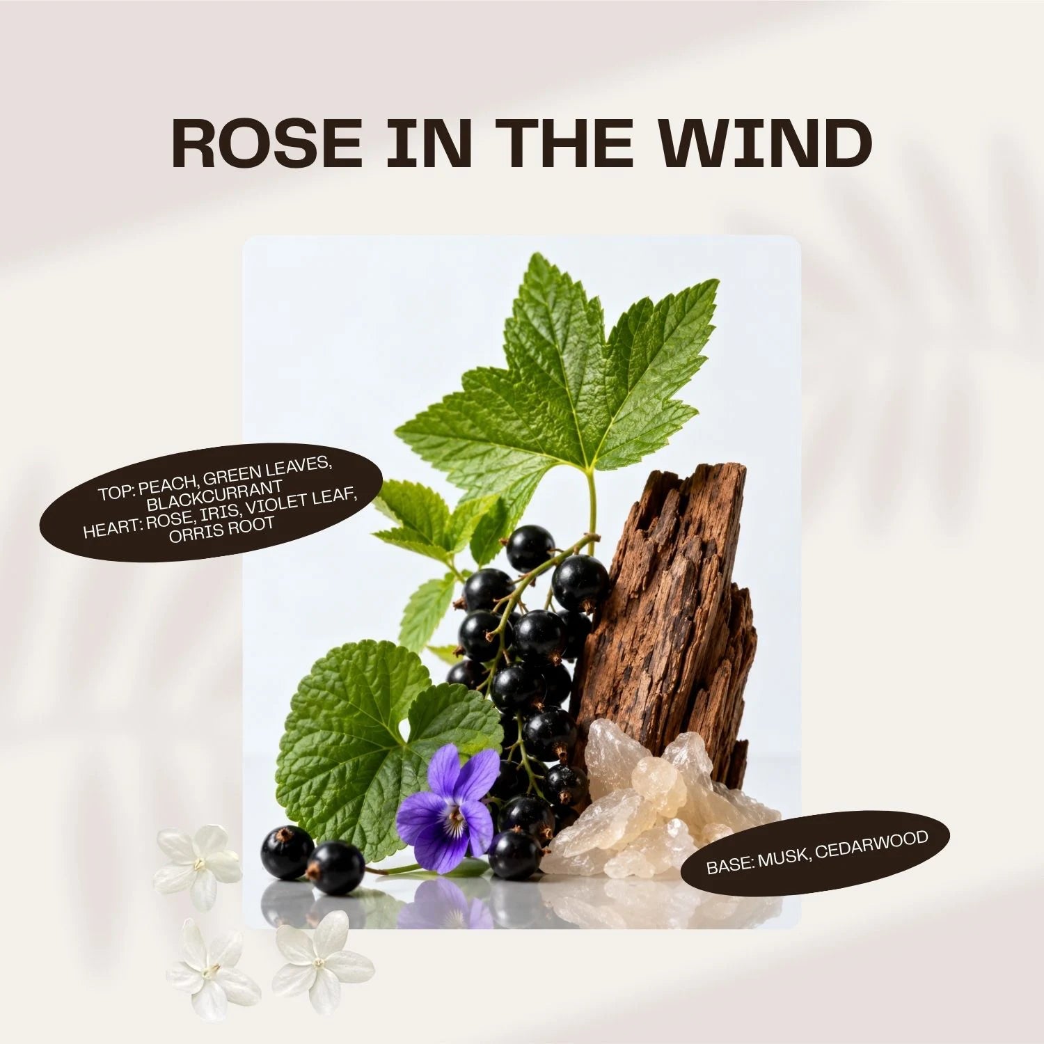 Rose in the Wind fragrance tablet scent notes with blackcurrant, rose, violet leaf, musk, and cedarwood