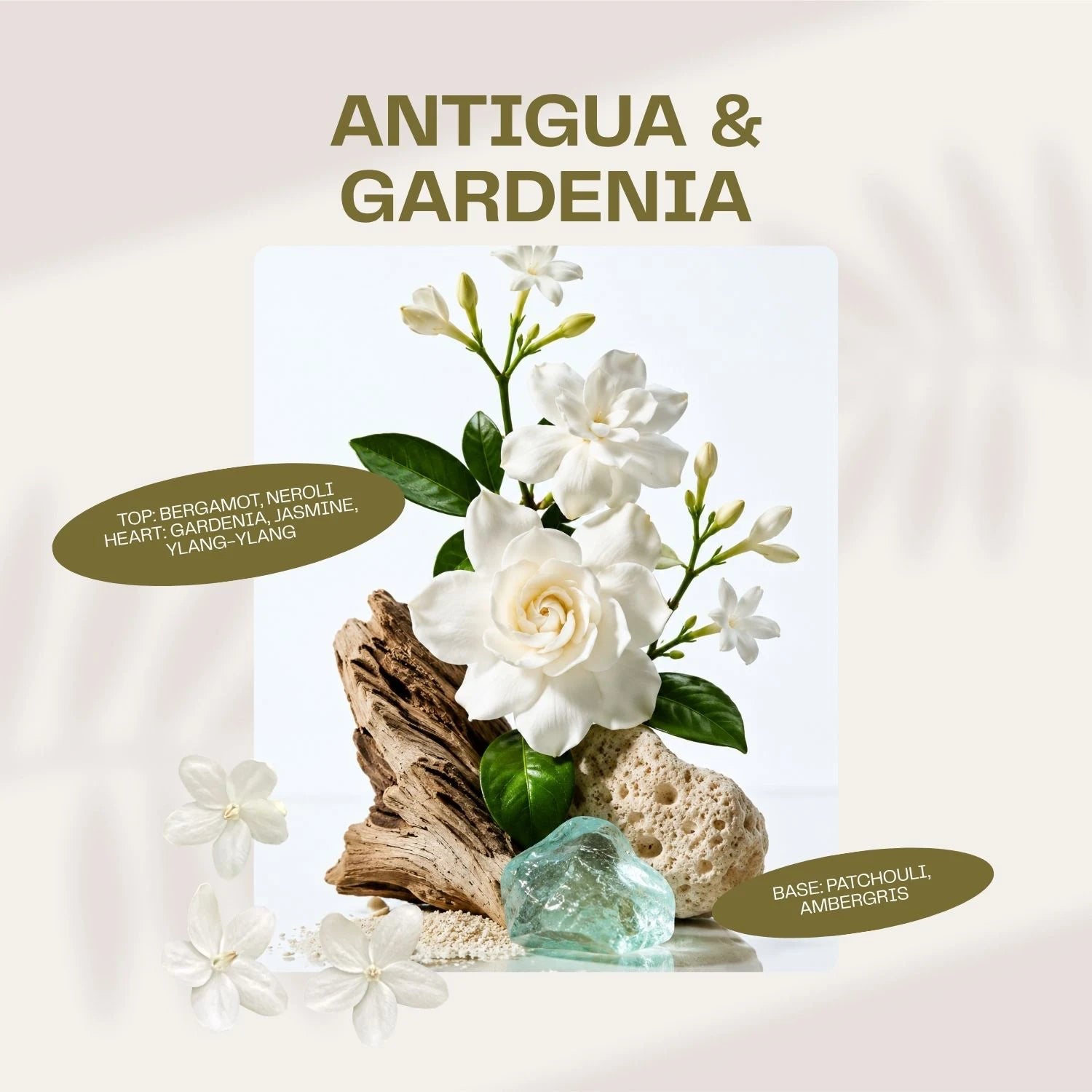 Antigua and Gardenia fragrance tablet scent notes for crystal car diffuser